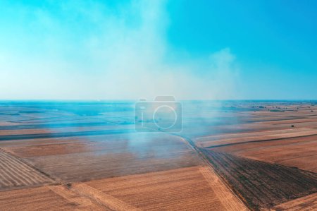 Photo for Wheat field stubble burning after the harvesting of grains is one of the major causes of air pollution, aerial shot from drone pov, high angle view - Royalty Free Image