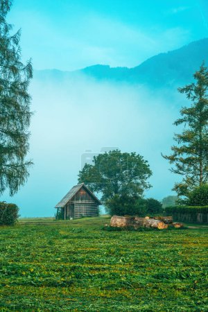 Téléchargez les photos : Cabane en bois dans la campagne alpine entourée de brouillard matinal d'été, belle image panoramique de la région de Bohinj en Slovénie, mise au point sélective - en image libre de droit