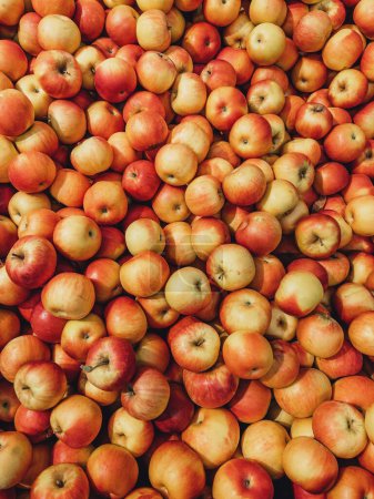 Téléchargez les photos : Pile de pommes mûres dans le magasin du marché fermier, vue de dessus - en image libre de droit