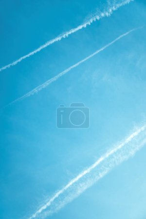 Foto de Patrón de cola a través del cielo azul limpio como fondo - Imagen libre de derechos