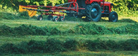 Agricultural tractor gathering mowed grass in meadow, selective focus