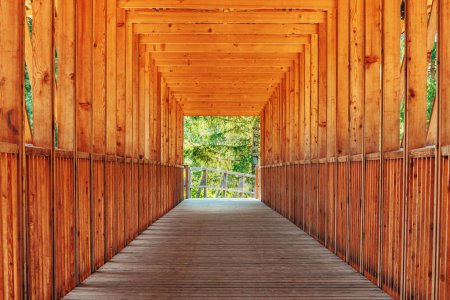 Foto de Construcción de madera de puente de madera y túnel con paisaje arbolado verde en la salida, enfoque selectivo - Imagen libre de derechos