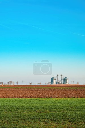Téléchargez les photos : Silos agricoles pour le stockage des grains récoltés avec ciel bleu comme espace de copie - en image libre de droit