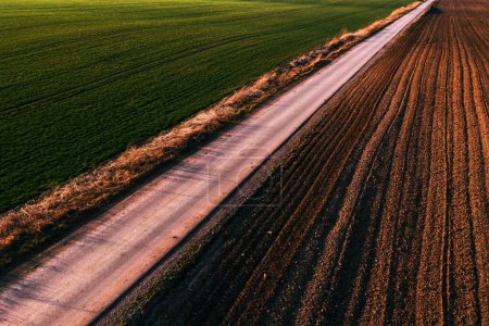 Straight asphalt country road between cultivated wheat plantation and ploughed field, aerial shot from drone pov, high angle view