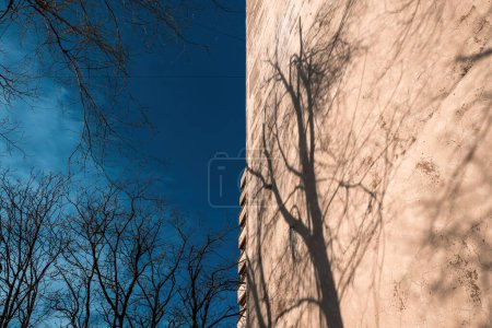 Photo for Bare tree shadow on concrete building wall in winter, selective focus - Royalty Free Image