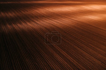 Beautiful landscape background, plowed agricultural field in sunset illuminated by the sunlight, aerial shot from drone pov high angle view
