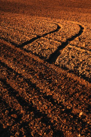 Agricultural tractor tire tread marks in ploughed soil ground, vertical image with selective focus