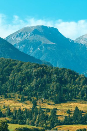 Téléchargez les photos : Alpes juliennes en été, détail de la région de Bohinj, focus sélectif - en image libre de droit
