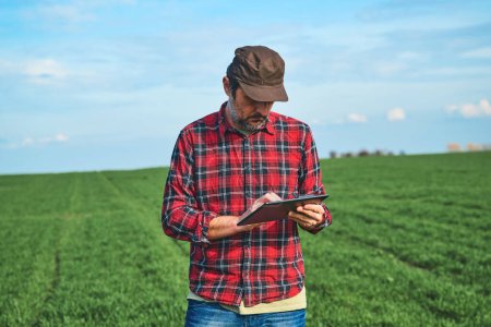 Téléchargez les photos : Exploitation agricole intelligente, travailleur agricole utilisant une table numérique dans un champ de blé cultivé, orientation sélective - en image libre de droit