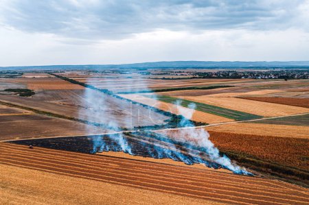 Foto de Campo de trigo rastrojo quema después de la cosecha de granos es una de las principales causas de la contaminación del aire, tiro aéreo desde el dron pov, vista de ángulo alto - Imagen libre de derechos