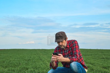 Foto de Agricultura inteligente, trabajador agrícola usando smartphone en campo de trigo cultivado, enfoque selectivo - Imagen libre de derechos