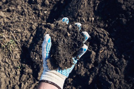 Téléchargez les photos : Agriculteur agronome tenant une motte de terre, gros plan de la main mâle avec échantillon de sol du champ agricole, foyer sélectif - en image libre de droit