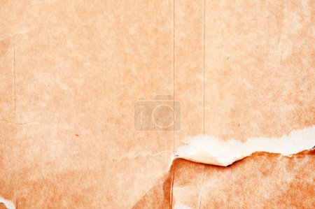 Photo for Texture of torn ripped cardboard paper as background - Royalty Free Image