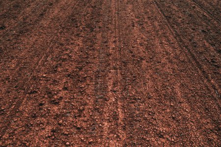 Foto de Textura de suelo agrícola marrón listo para la labranza, perspectiva decreciente - Imagen libre de derechos