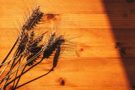 Foto de Orejas de trigo en escritorio de madera, vista superior - Imagen libre de derechos