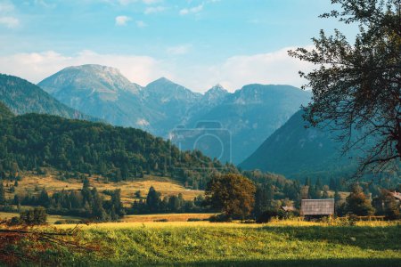Téléchargez les photos : Vallée de Bohinj en contrebas des Alpes juliennes dans le parc national du Triglav en Slovénie le matin d'été - en image libre de droit