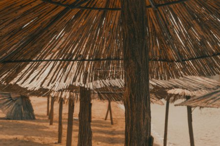 Foto de Sombrillas de playa de paja de caña en la costa, vacaciones de verano y el concepto de vacaciones, enfoque selectivo - Imagen libre de derechos