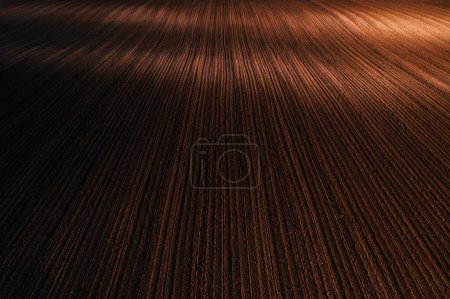 Photo for Sunlight illuminates beautiful furrowed pattern of ploughed agricultural field soil, aerial shot from drone drone pov, high angle view - Royalty Free Image