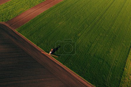 Foto de Aplicación de productos químicos fungicidas en el campo de plántulas de trigo, vista aérea del tractor con rociador de cultivos, drone pov - Imagen libre de derechos