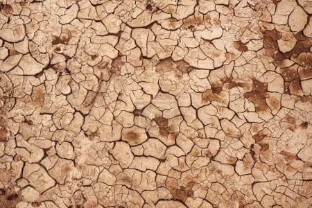 Téléchargez les photos : Boue de terre sèche fissurée comme texture, vue de dessus - en image libre de droit