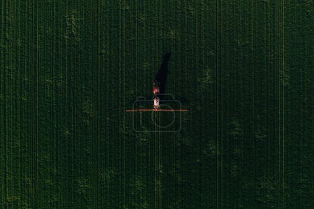 Foto de Tractor agrícola con pulverizador de cultivos que aplica tratamiento fungicida en cultivos de trigo en primavera, vista aérea desde el dron pov, de arriba hacia abajo - Imagen libre de derechos