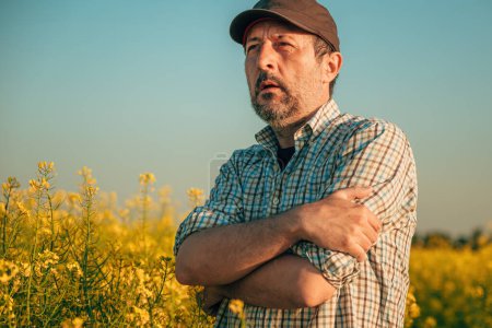 Foto de Retrato de agricultor agrónomo en campo de colza en flor con los brazos cruzados, enfoque selectivo - Imagen libre de derechos