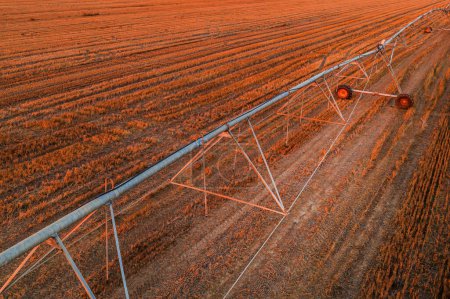 Ligne d'irrigation agricole avec déplacement latéral dans le champ de colza récolté, prise de vue aérienne depuis le point de vue du drone, vue grand angle