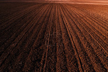 Foto de Aerial view of ploughed agricultural field with ridge and furrow pattern from drone pov, high angle view - Imagen libre de derechos