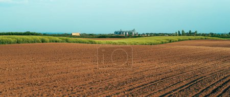 Foto de Campo agrícola semillero después de siembra de cultivos, enfoque selectivo - Imagen libre de derechos