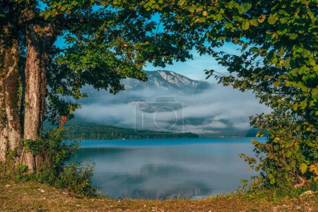 Foto de Beautiful scenic view of lake Bohinj and fog cloud seen between the trees on the shoreline in summer morning, selective focus - Imagen libre de derechos
