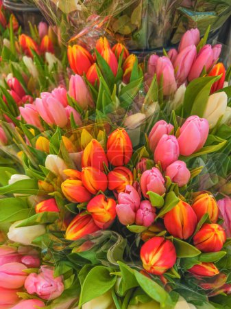 Foto de Tulipanes florecientes coloridos en la tienda de flores, enfoque selectivo - Imagen libre de derechos