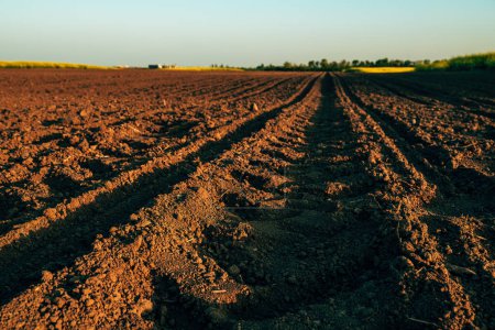 Preparación del semillero, el suelo del campo agrícola está listo para la temporada de siembra, enfoque selectivo