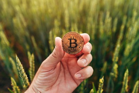 Farmer holding Bitcoin cryptocurrency coin in green wheat field, selective focus