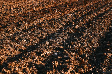 Photo for Ridge and furrow pattern in ploughed soil of an agricultural field, selective focus - Royalty Free Image