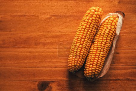 Photo for Harvested ear of corn on wooden background, top view - Royalty Free Image
