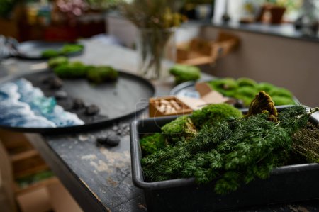 Photo for Closeup creative art workspace selective focus. Hand craft design elements on table. Moss, stones, flower and herbs for decorative platter creation - Royalty Free Image