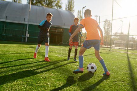 Photo for Young boys in sports soccer club on training unit improving skills on natural turf grass pitch at summer - Royalty Free Image