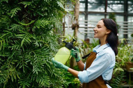 Photo for Young woman gardener spraying water on plants leaves for fast growth working at greenhouse. Greenery at hothouse - Royalty Free Image