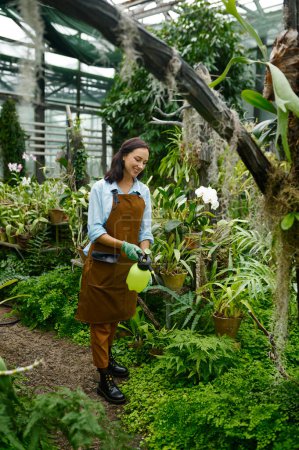 Foto de Young woman gardener spraying water on plants leaves for fast growth working at greenhouse - Imagen libre de derechos