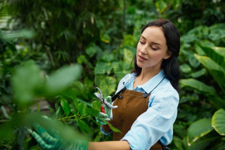 Foto de Young female gardener cutting plant growth in garden greenhouse. Landscaping occupation, green flower grooming chores routine at hothouse - Imagen libre de derechos