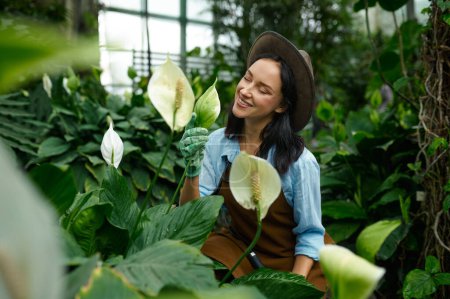 Téléchargez les photos : Portrait of young woman gardener admiring blooming callas growth in greenhouse. Planting and gardening hobby concept - en image libre de droit