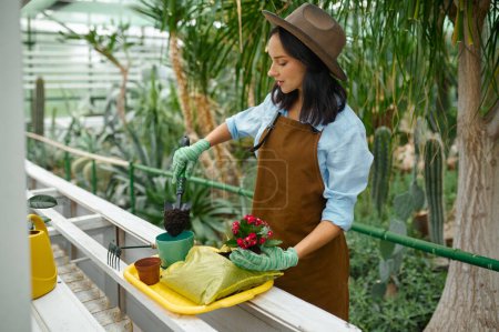 Foto de Young woman gardener in apron overalls potting plants in greenhouse. Seedlings planting process and botanical work at hothouse garden - Imagen libre de derechos