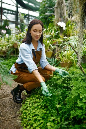 Téléchargez les photos : Jeune jardinière excitée portant des combinaisons de soins buisson dans la cour de la serre. Concept horticole - en image libre de droit