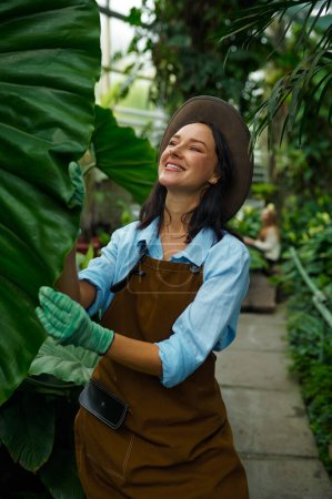 Téléchargez les photos : Jeune jardinière examinant des feuilles de plantes tropicales géantes cultivées en serre. Concept de jardin botanique - en image libre de droit