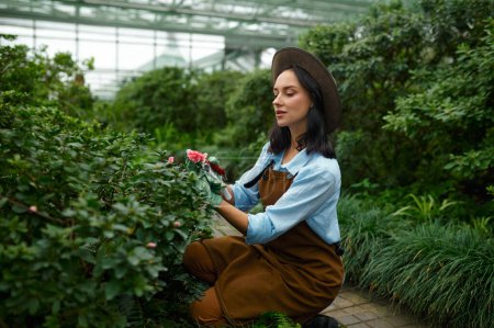 Photo for Young woman gardener cutting flower buds blossom working in greenhouse. Happy female florist grooming plants with love and admiration - Royalty Free Image