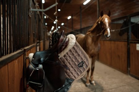 Téléchargez les photos : Selective focus on saddle in contemporary horse stalls. Beautiful thoroughbred stallion on foreground - en image libre de droit