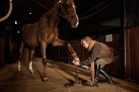 Foto de Mujer joven haciendo manicura de pezuña de caballo, archivando y moldeando herradura. Semental aseo y limpieza antes de montar - Imagen libre de derechos