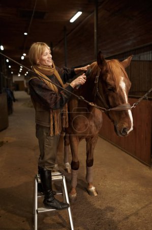 Foto de Horsewoman combing mane of her brown thoroughbred horse in stable. Concept of animal care - Imagen libre de derechos