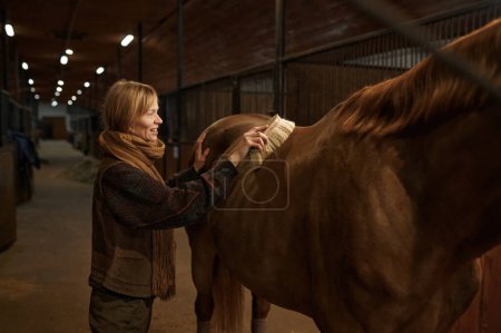 Foto de Young smiling woman cleaning horseback of her brown purebred stallion. Farm stable interior - Imagen libre de derechos