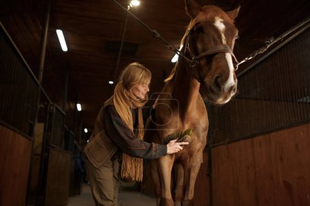 Foto de Closeup portrait of happy horsewoman cleaning her stallion with brush. Female rider washing horse before or after riding - Imagen libre de derechos